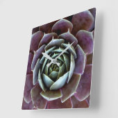Paarse Succulent Close-Up Vierkante Klok (Hoek)