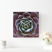 Paarse Succulent Close-Up Vierkante Klok (Huis)
