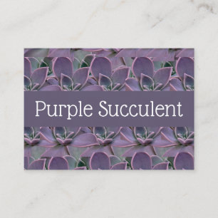 Paarse Succulent Visitekaartje
