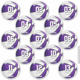 paarse teamkleuren cadeaus 13 basketbalstickers sticker