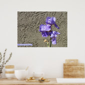 Paarse tegen de muur poster (Keuken)