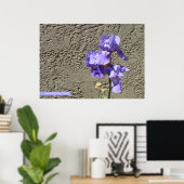 Paarse tegen de muur poster (Thuiskantoor)