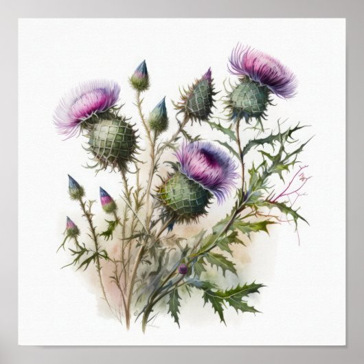 Paarse Thistle Flower Art Print Poster (Voorkant)