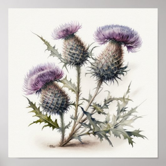 Paarse Thistle Flower Art Print Poster (Voorkant)