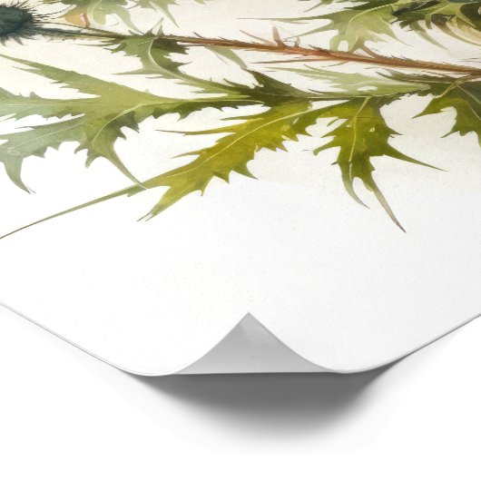 Paarse Thistle Flower Art Print Poster (Hoek)