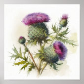 Paarse Thistle Flower Art Print Poster (Voorkant)