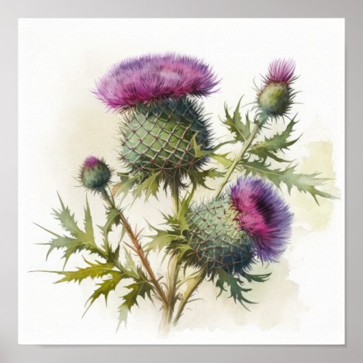 Paarse Thistle Flower Art Print Poster (Voorkant)