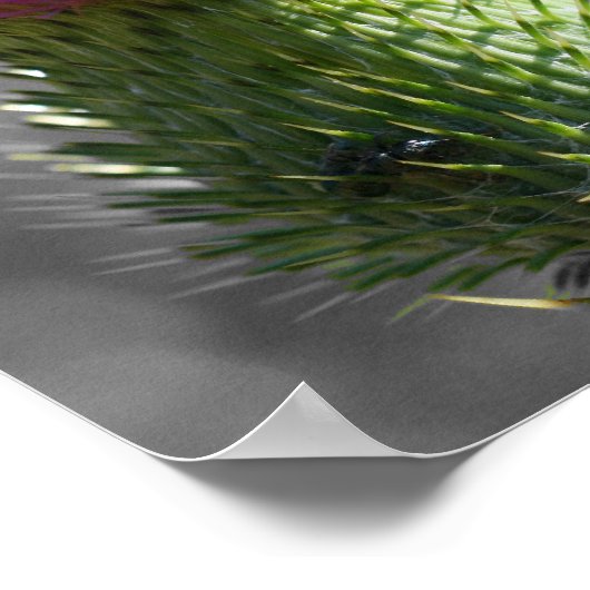 Paarse Thistle Flower Partiële kleur Poster (Hoek)