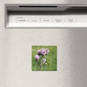 Paarse Thistle Flower Photo Magnet (Insitu (Vaatwasser))
