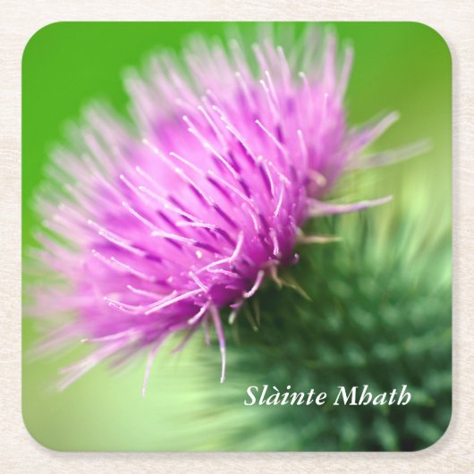Paarse Thistle Kartonnen Onderzetters (Voorkant)