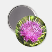 Paarse Thistle Wilde Floral Art Magneet (Voorkant / Achterkant)