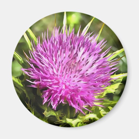 Paarse Thistle Wilde Floral Art Magneet (Voorkant)