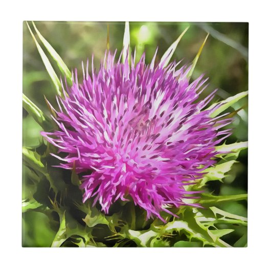 Paarse Thistle Wilde Floral Art Tegeltje (Voorkant)