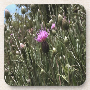 Paarse Thistle Wildflower Realiserende kunst Bier Onderzetter