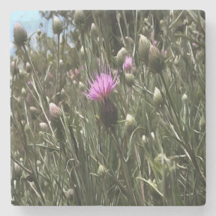 Paarse Thistle Wildflower Realiserende kunst Stenen Onderzetter