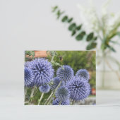 Paarse Thistles en Bee in Brienz, Zwitserland Briefkaart (Staand voorkant)
