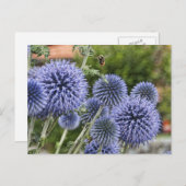 Paarse Thistles en Bee in Brienz, Zwitserland Briefkaart (Voorkant / Achterkant)