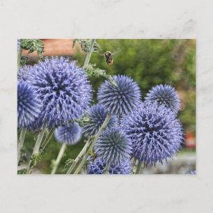 Paarse Thistles en Bee in Brienz, Zwitserland Briefkaart