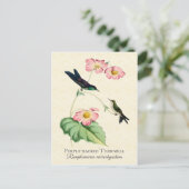 Paarse thornbill Hummingbird Art Briefkaart (Staand voorkant)