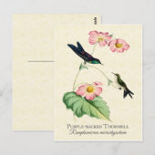 Paarse thornbill Hummingbird Art Briefkaart (Voorkant / Achterkant)