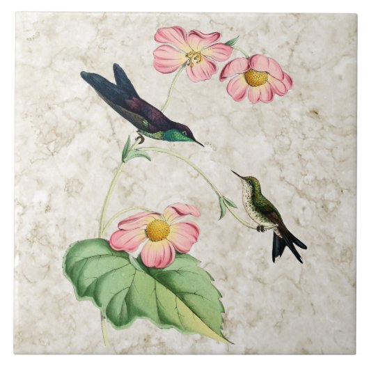 Paarse thornbill Hummingbird Ceramic Tile Tegeltje (Voorkant)