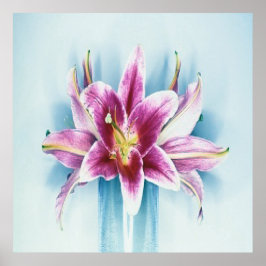 Paarse Tiger Lilly Poster