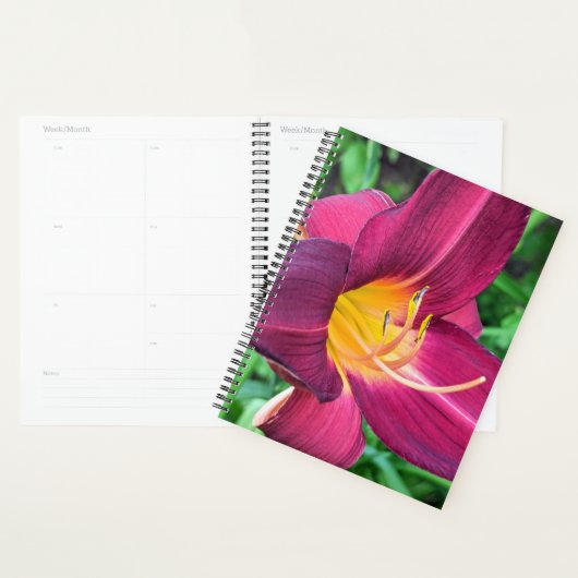 Paarse Tijger Lily Planner (Display)