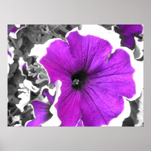 Paarse tintzwarte en witte holte poster (Voorkant)