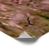 Paarse topgras poster (Hoek)