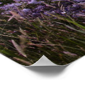 Paarse Tree fine art print (Hoek)