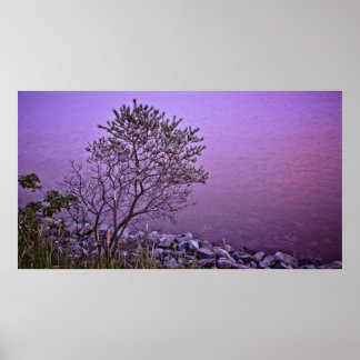 Paarse Tree fine art print