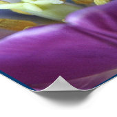 Paarse trillingen poster (Hoek)