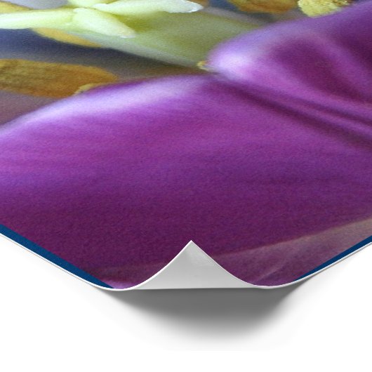 Paarse trillingen poster (Hoek)