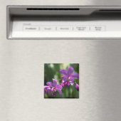 Paarse Tropische Bloemmagneet Magneet (Insitu (Vaatwasser))