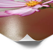 Paarse tuin Cosmo Flower Close-up Foto Afdruk (Hoek)