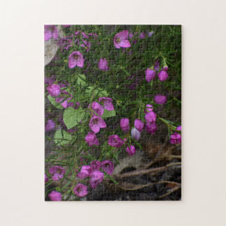 Paarse Tuin – Een Bloei in Focus Legpuzzel