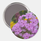 Paarse tuin Phlox 3-inch Round Magnet (Voorkant / Achterkant)