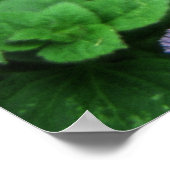 Paarse tuin poster (Hoek)