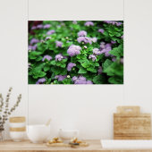 Paarse tuin poster (Keuken)