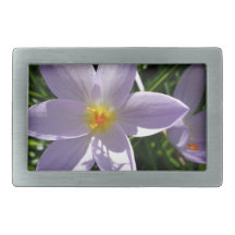 paarse tuinbloem. 美 丽 紫 色 花