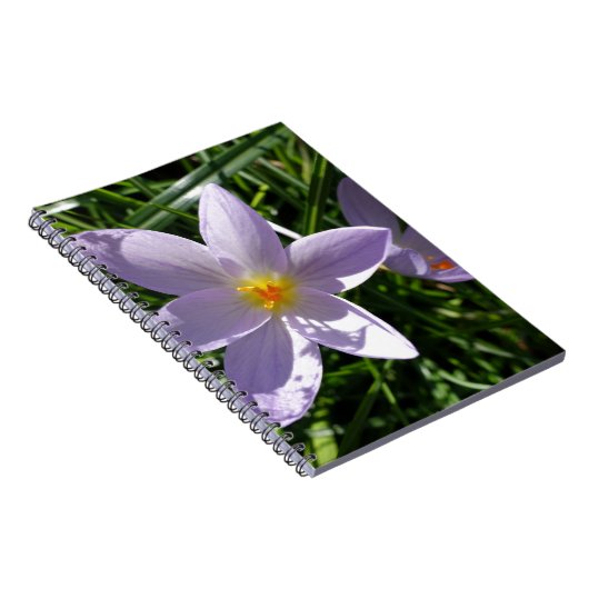  paarse tuinbloem. 美 丽 紫 色 花 notitieboek (Rechterzijde)