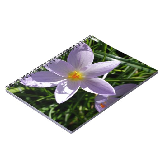  paarse tuinbloem. 美 丽 紫 色 花 notitieboek (Linkerzijde)