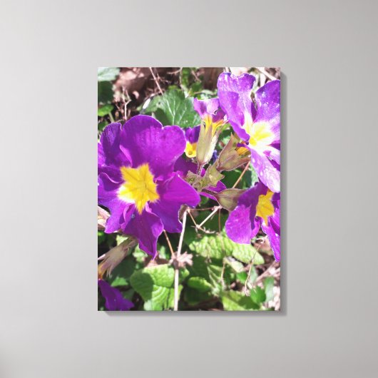 Paarse tuinbloemen canvas afdruk (Voorkant)