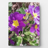 Paarse tuinbloemen fotoplaat (voorkant)