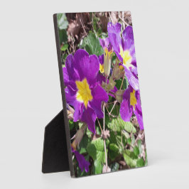 Paarse tuinbloemen fotoplaat