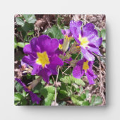 Paarse tuinbloemen fotoplaat (Voorkant)