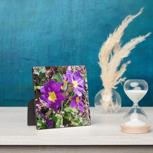 Paarse tuinbloemen fotoplaat (Insitu)