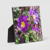 Paarse tuinbloemen fotoplaat (Voorkant)