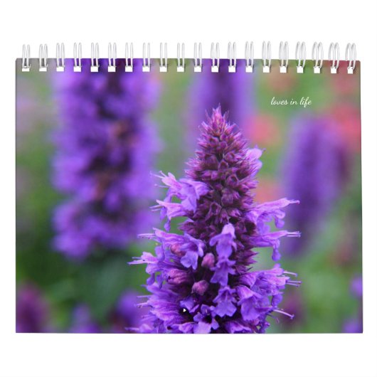 Paarse tuinbloemen kalender (Hoes)
