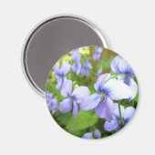 Paarse tuinbloemen magneet (Voorkant / Achterkant)